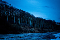 Gespensterwald