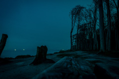 Gespensterwald