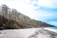 Gespensterwald