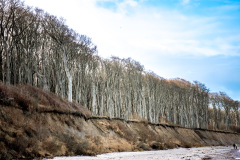 Gespensterwald