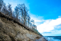 Gespensterwald