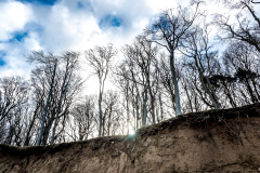 Gespensterwald