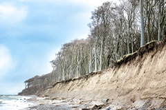 Gespensterwald