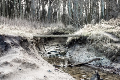 Gespensterwald