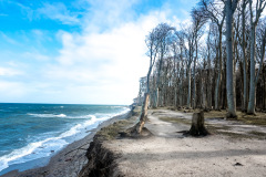 Gespensterwald