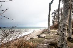 Gespensterwald