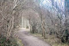 Gespensterwald