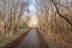 Gespensterwald