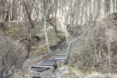 Gespensterwald