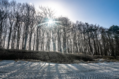 Gespensterwald