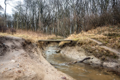 Gespensterwald