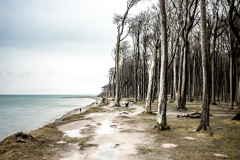 Gespensterwald