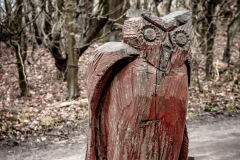 Gespensterwald