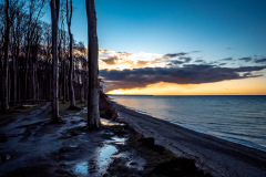 Gespensterwald