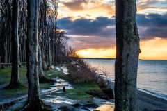 Gespensterwald