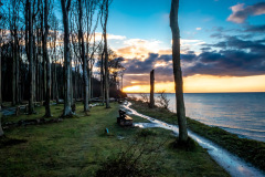 Gespensterwald