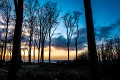 Gespensterwald