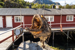Norwegen Roadtrip 2018