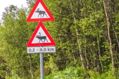Norwegen Roadtrip 2018