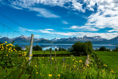 Norwegen Roadtrip 2018