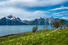 Norwegen Roadtrip 2018