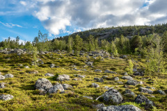 Norwegen Roadtrip 2018