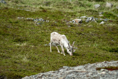 Norwegen Roadtrip 2018