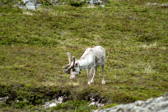Norwegen Roadtrip 2018