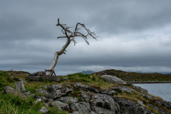 Norwegen Roadtrip 2018