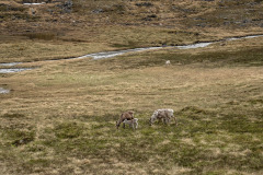 Norwegen Roadtrip 2018