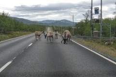 Norwegen Roadtrip 2018