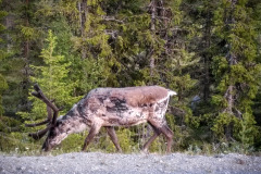 Norwegen Roadtrip 2018