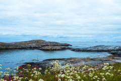 Norwegen Roadtrip 2018