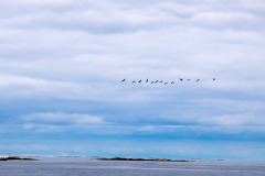 Norwegen Roadtrip 2018