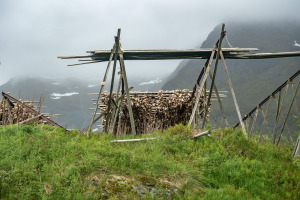 Norwegen 2018 - Tag 9