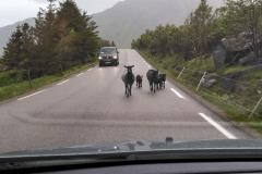 Norwegen Roadtrip 2018
