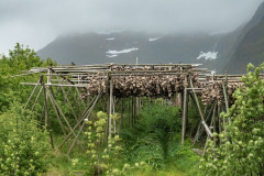 Norwegen Roadtrip 2018