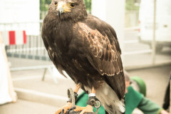 rpc_2015-33