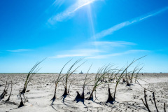 Westerhever