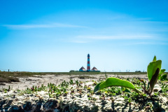Westerhever