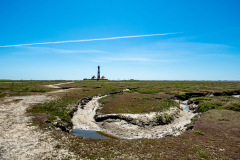 Westerhever