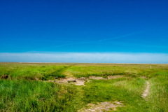 Westerhever