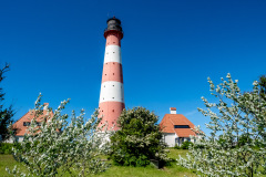 Westerhever