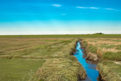 Westerhever