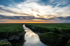Westerhever