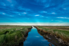 Westerhever
