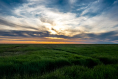 Westerhever