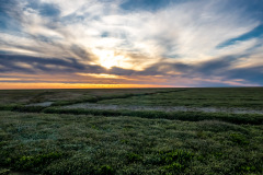Westerhever