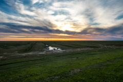 Westerhever